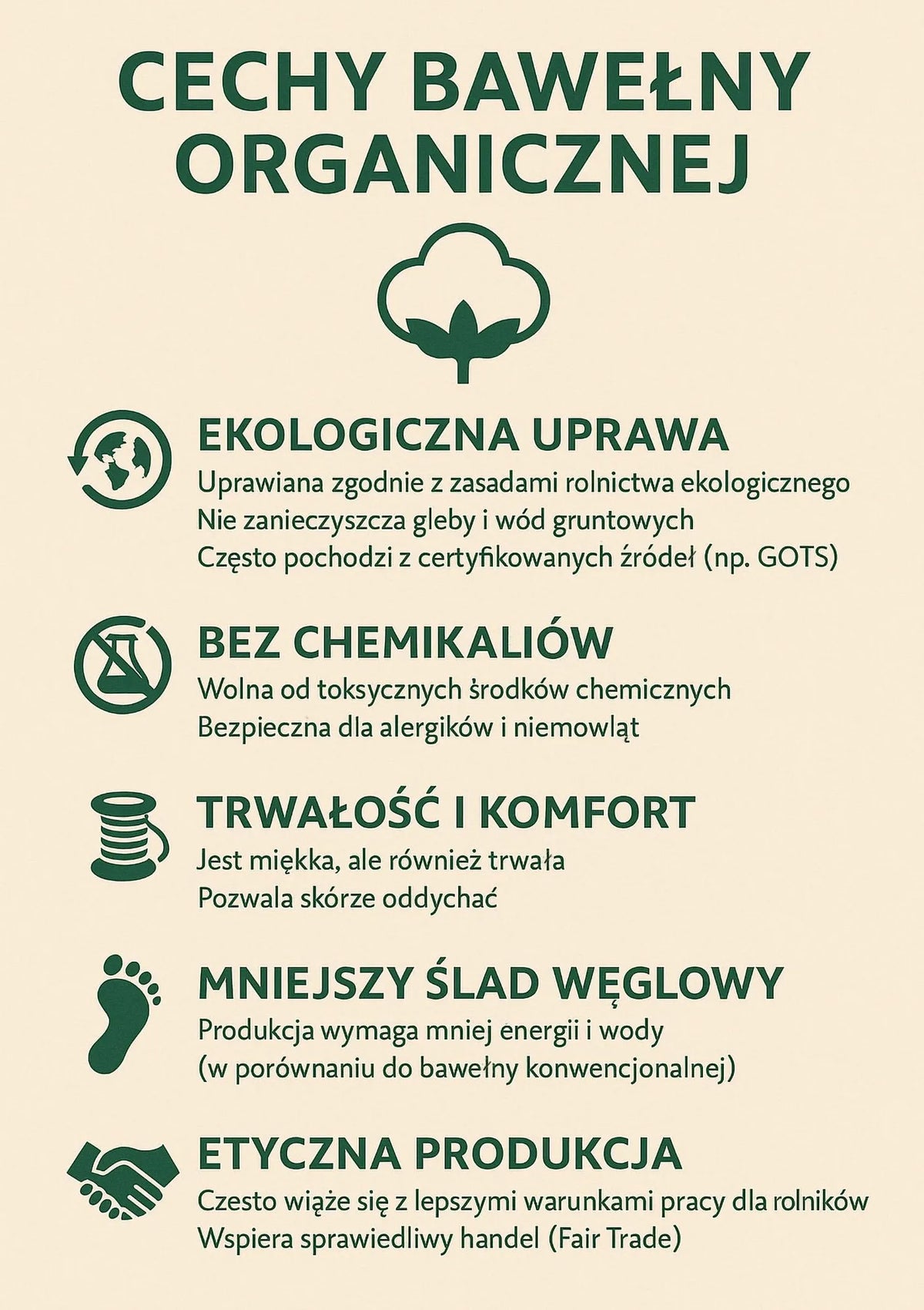 Koszulka Sielei 1436 z koronkowym dekoltem i kokardką, bawełna czarna