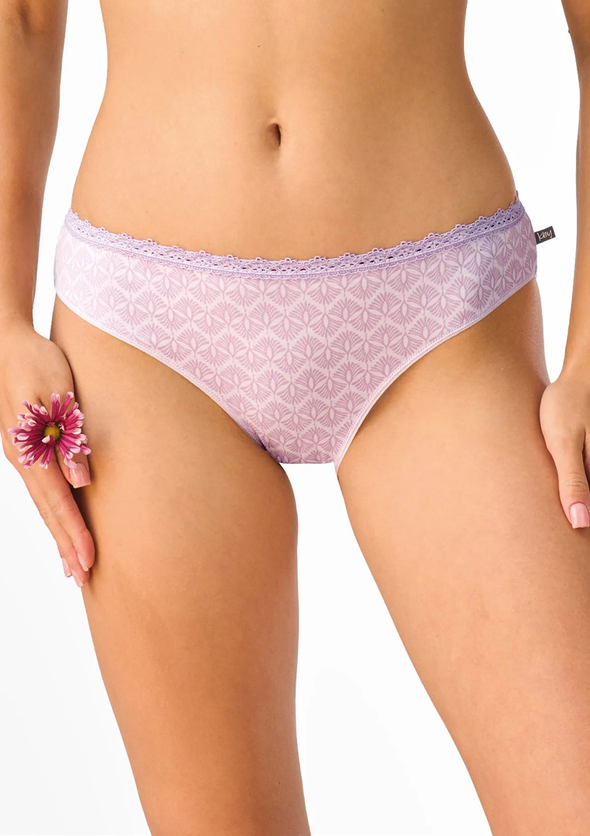 LPR 581 Key – figi damskie 2pak bawełniane mini bikini z koronką