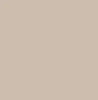 Bezszwowe stringi String Panty naturalne z INVISIBLE-LINE
